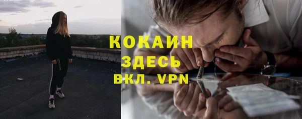 прущая мука Горняк
